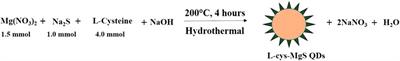 Levofloxacin Detection Using l-Cysteine Capped MgS Quantum Dots via the Photoinduced Electron Transfer Process